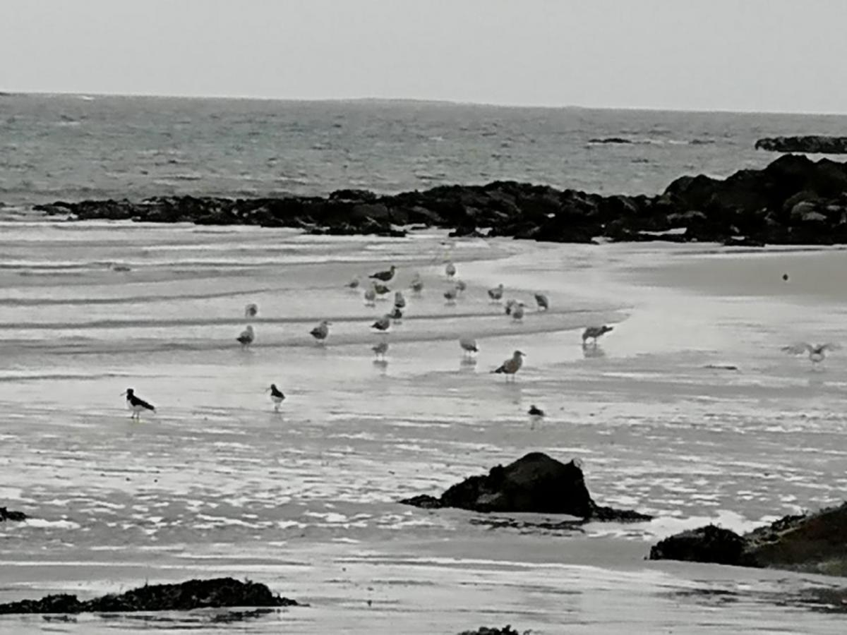 The Fisherman'S Snug Self Catering North Uist Paible Bagian luar foto