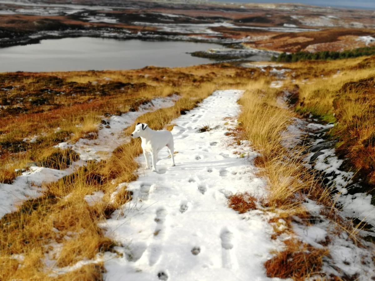 The Fisherman'S Snug Self Catering North Uist Paible Bagian luar foto