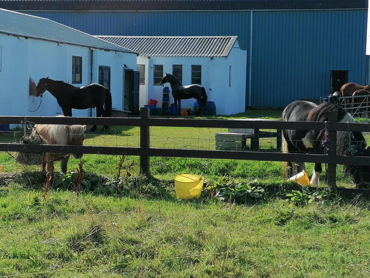 The Fisherman'S Snug Self Catering North Uist Paible Bagian luar foto