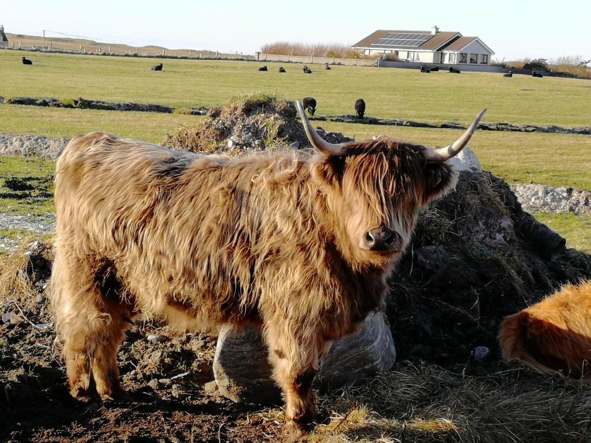 The Fisherman'S Snug Self Catering North Uist Paible Bagian luar foto