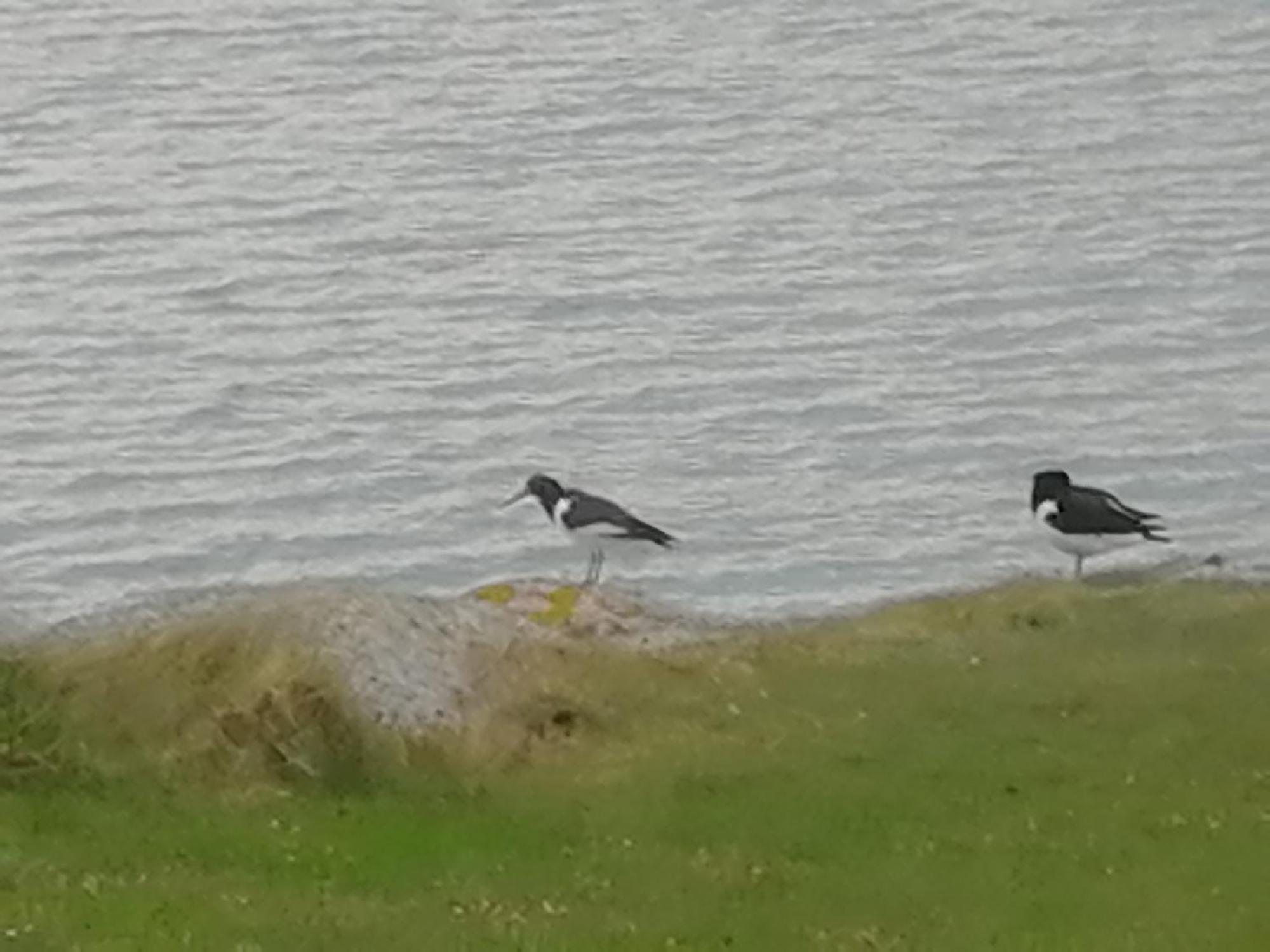 The Fisherman'S Snug Self Catering North Uist Paible Bagian luar foto